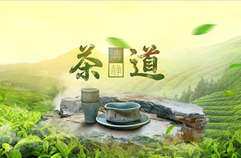 湖南資興東江狗腦貢茶業(yè)有限公司網站案例